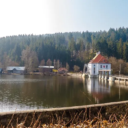 Nr 10b2, Hagbuegerl, Bayr Wald * 瓦尔德明兴