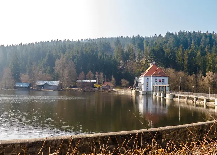 Nr 10b, Hagbügerl, Bayr Wald * Waldmünchen